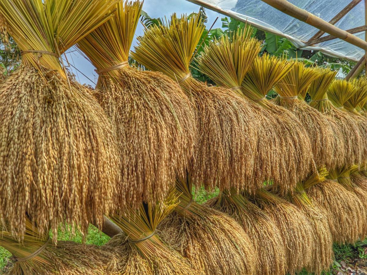 Farmstay Manangel Sindanglaka 외부 사진