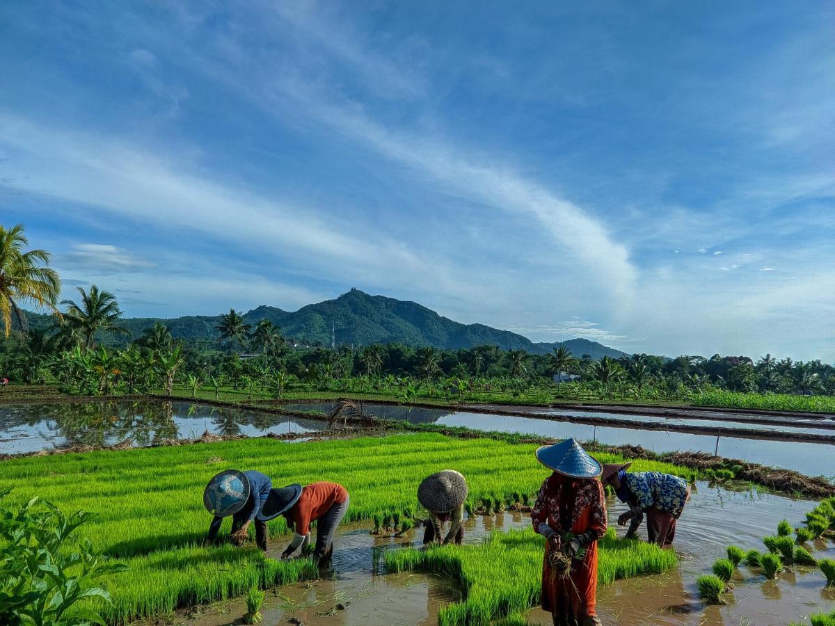 Farmstay Manangel Sindanglaka 외부 사진