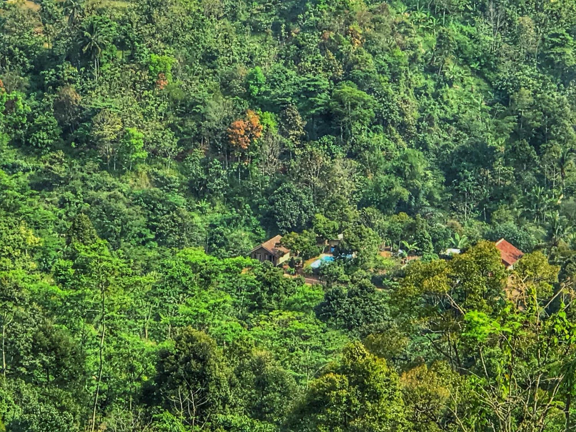 Farmstay Manangel Sindanglaka 외부 사진